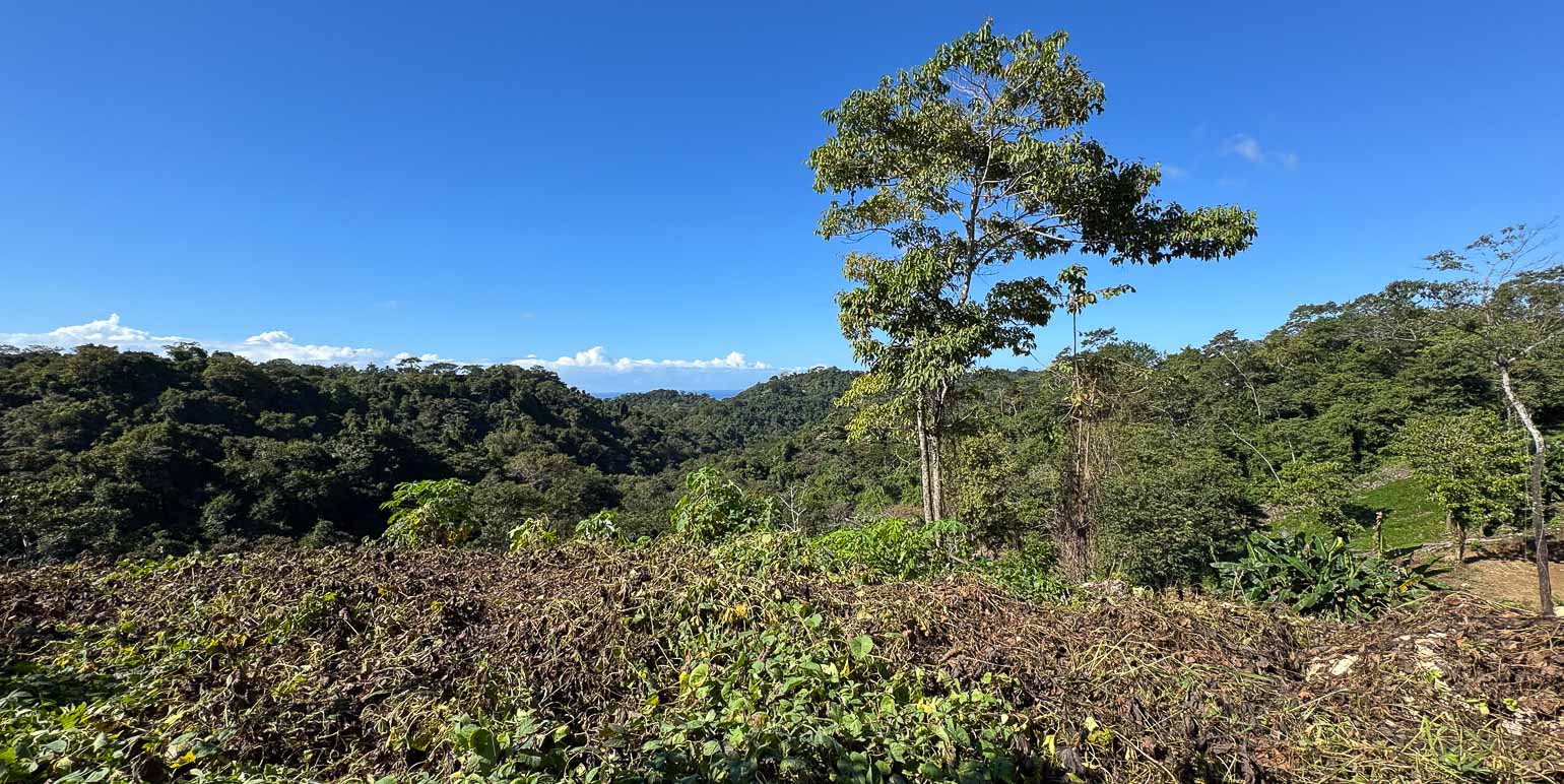 Land at Cóbano