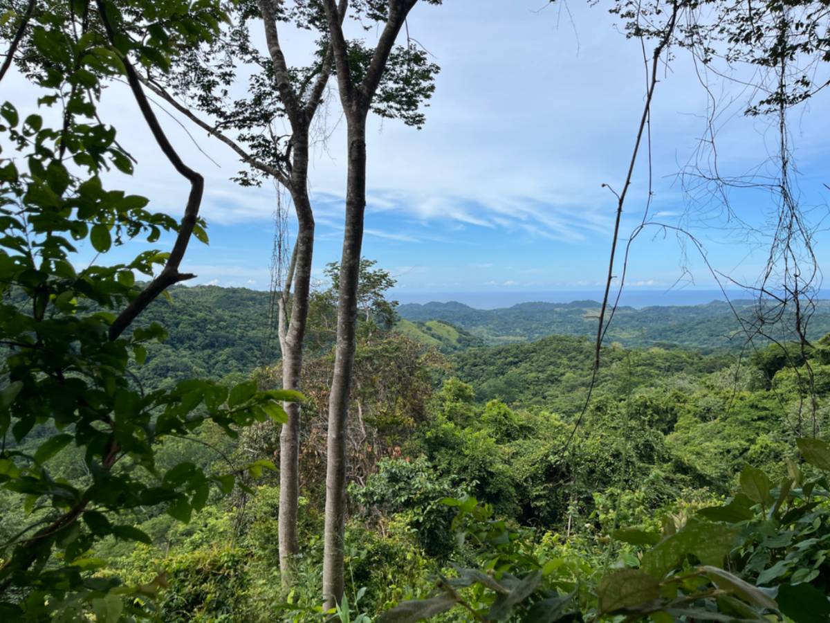 Propiedad en Sámara