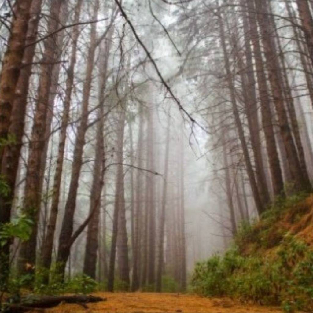 Propiedad en Occidental