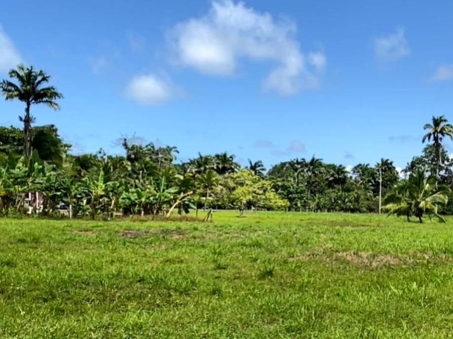 Estate at Limón