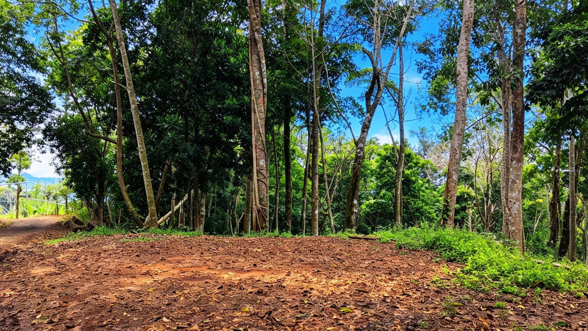 Land at Rivas