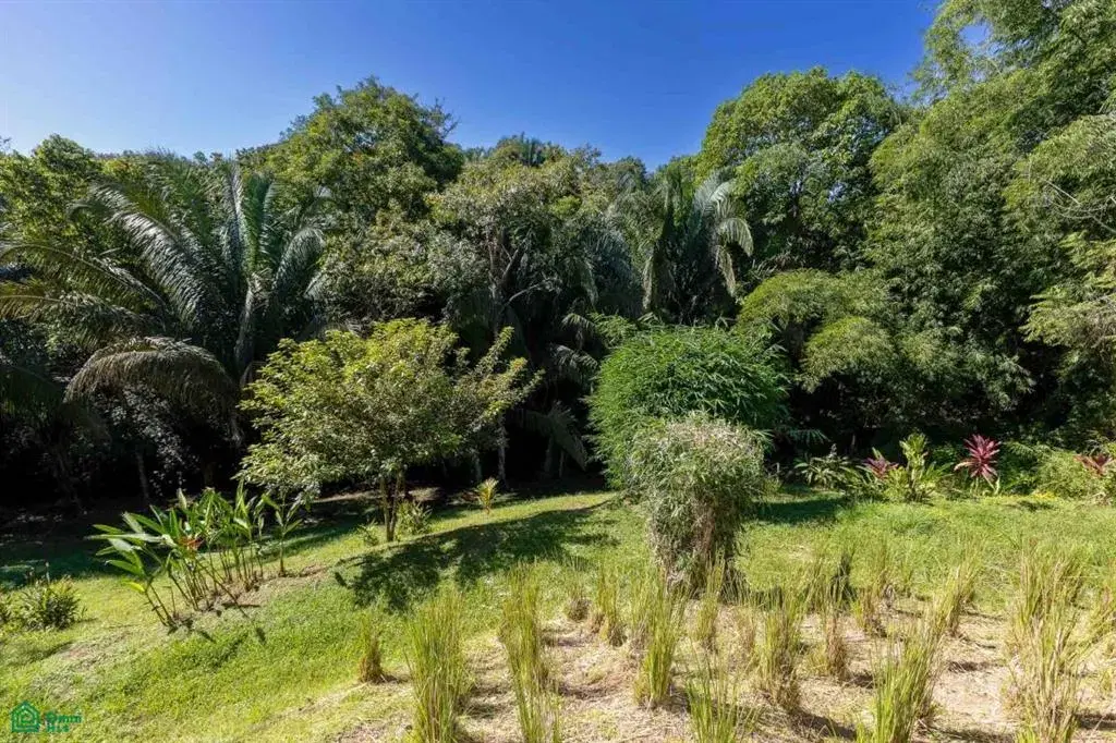 Property at Quepos