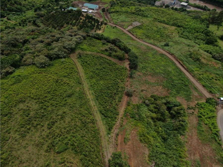 Terreno en Paraíso