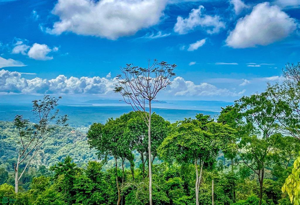Property at Puntarenas