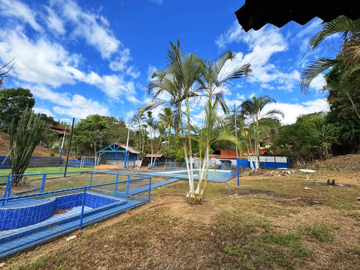 Commercial at Grecia