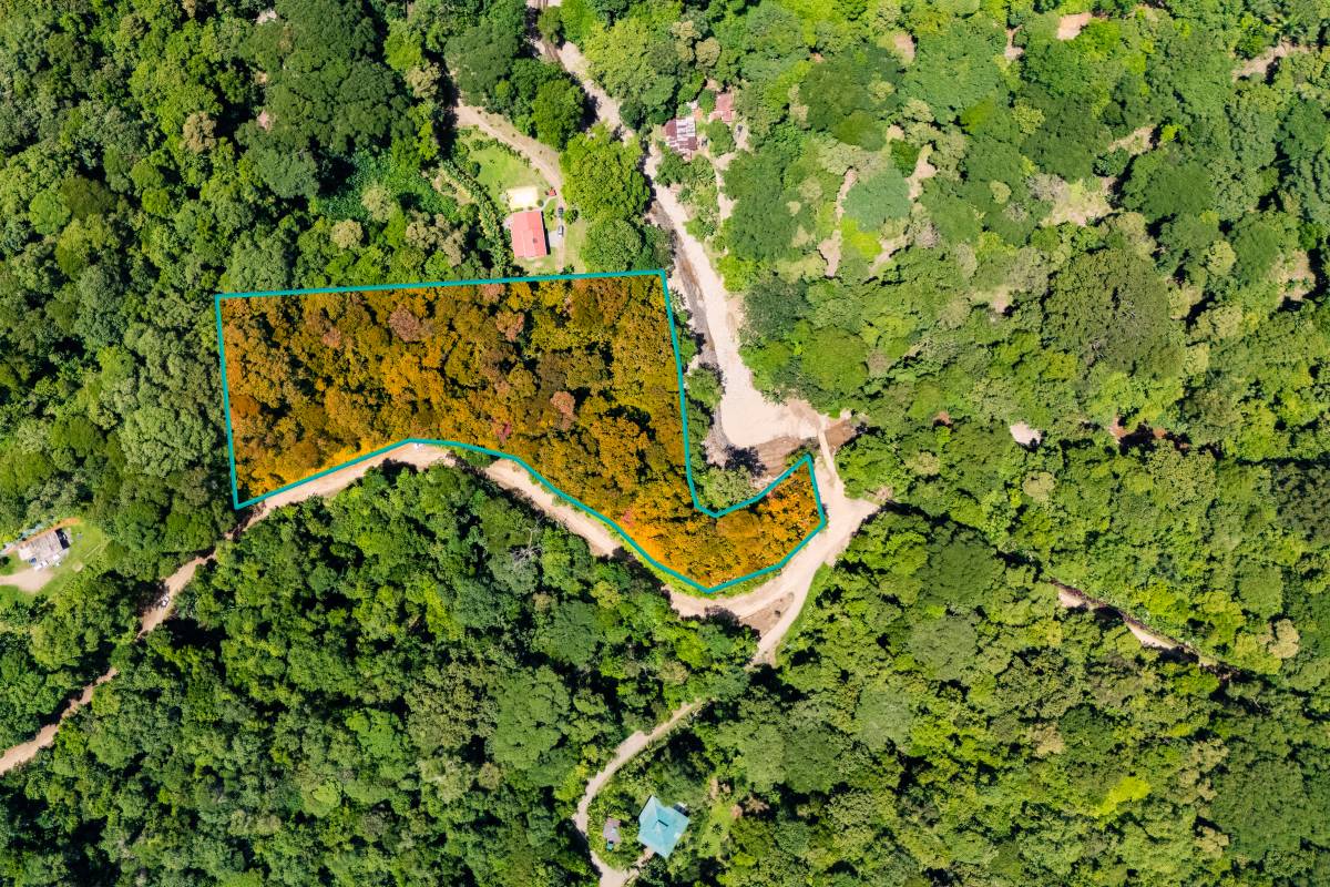 Finca en Ojochal