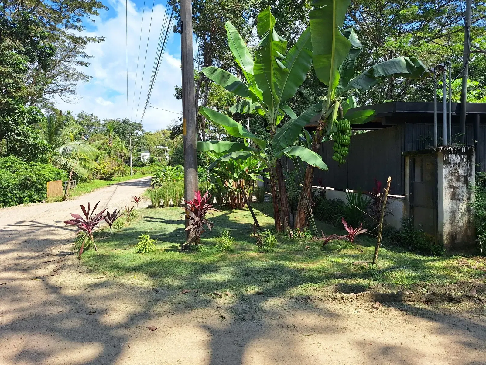 Land at Cóbano