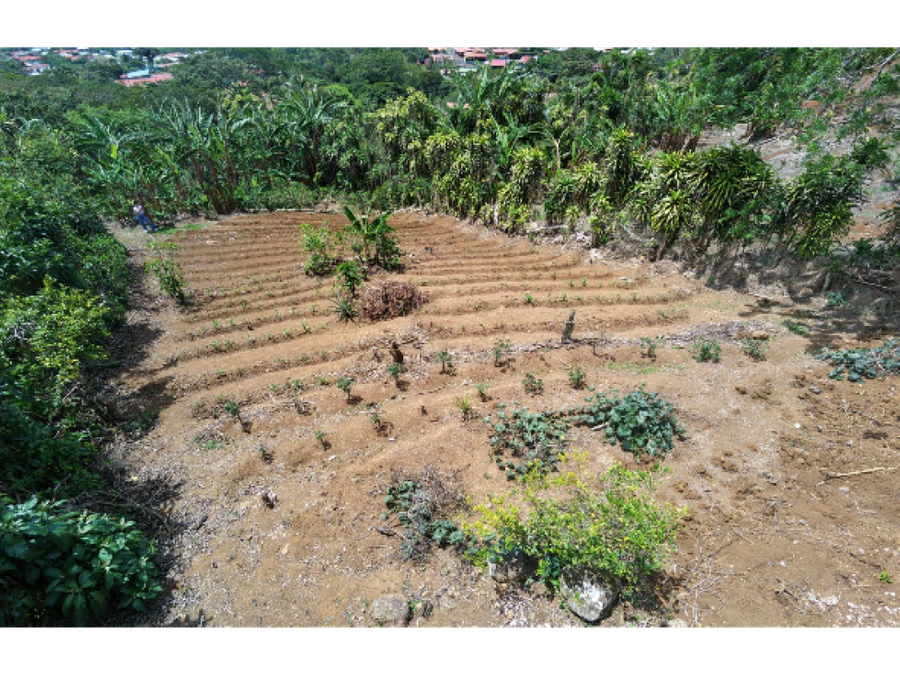 Land at Candelaria
