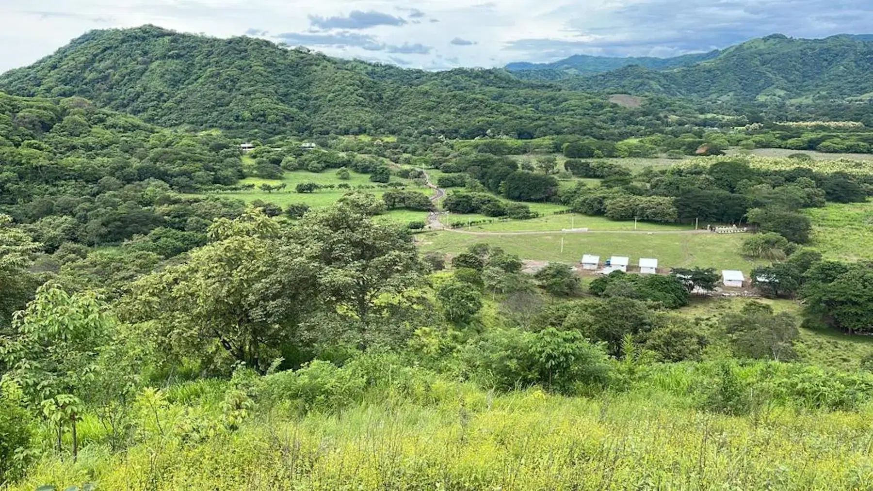 Property at Tamarindo