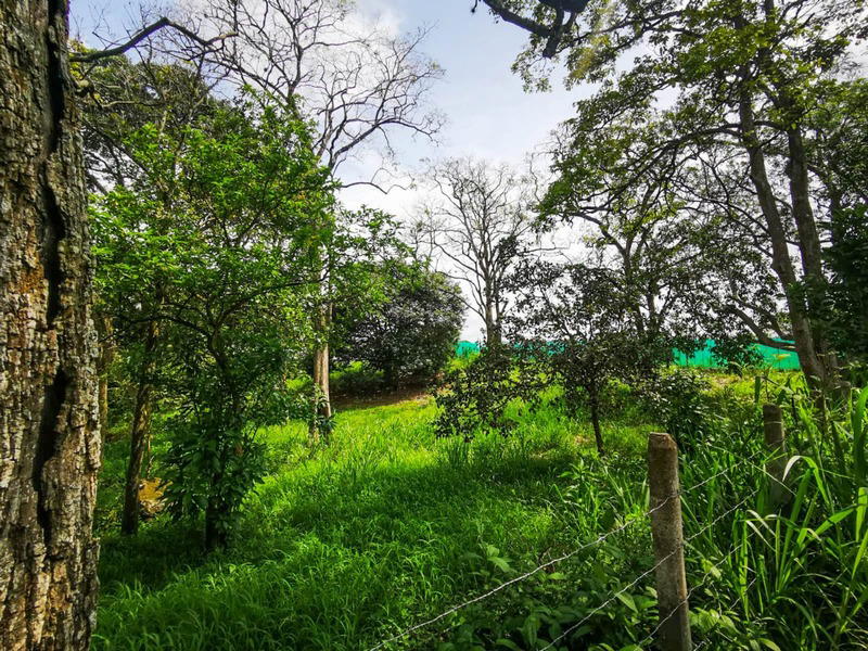 Terreno en Condominio La Garita