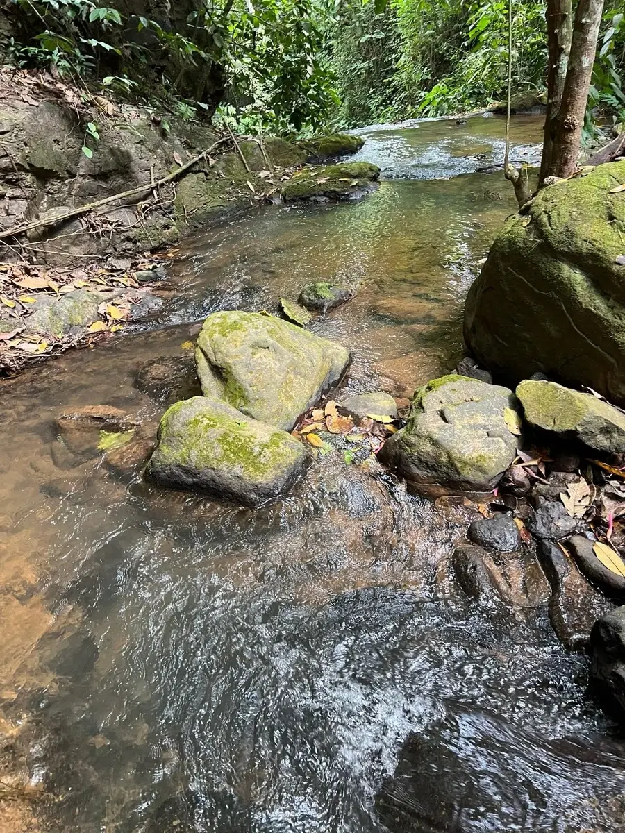 Terreno en San Isidro del General