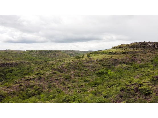 Property at Guanacaste