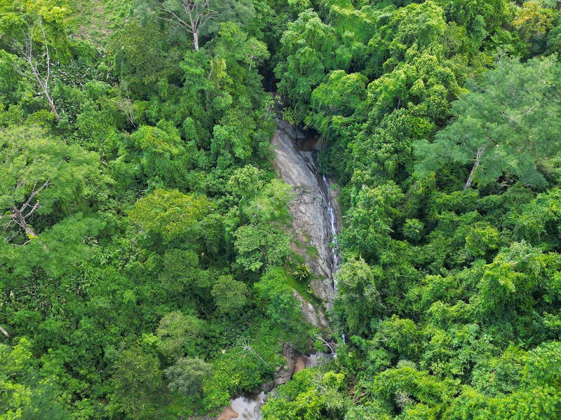 Land at Savegre