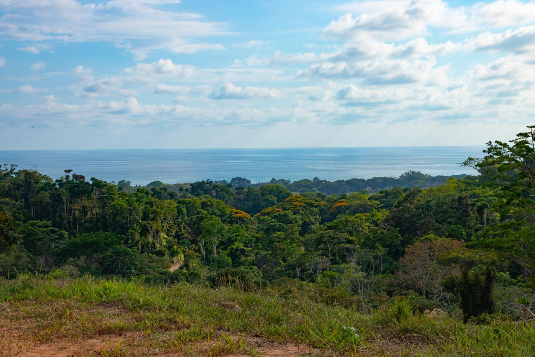 Land at Bahía Ballena