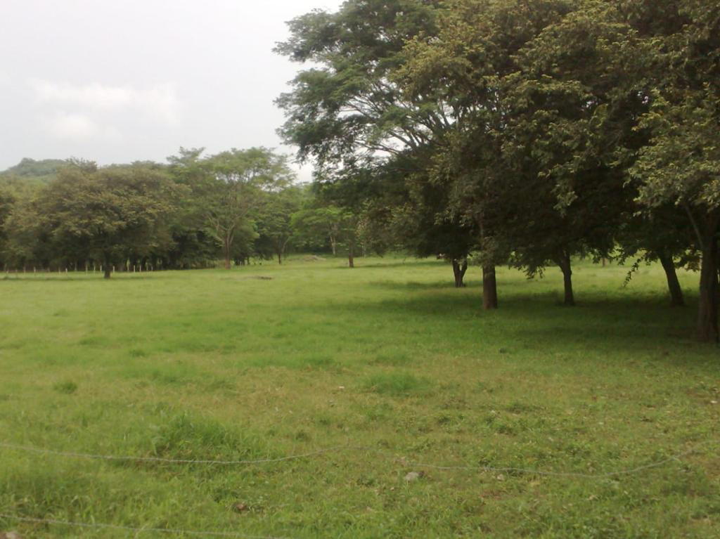 Land at Tempate