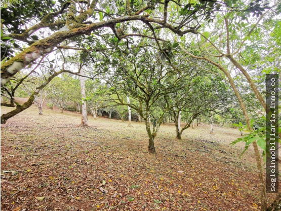 Terreno en Florencia