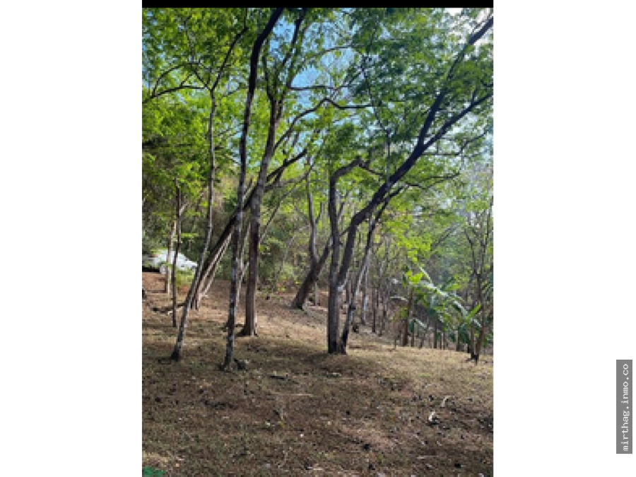 Land at Puntarenas
