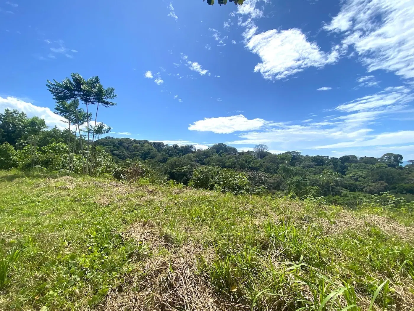 Terreno en Puerto Cortés
