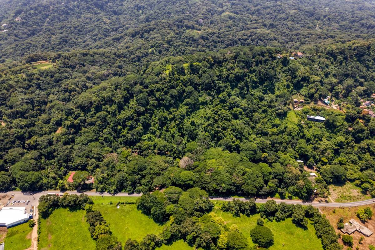Estate at Dominical