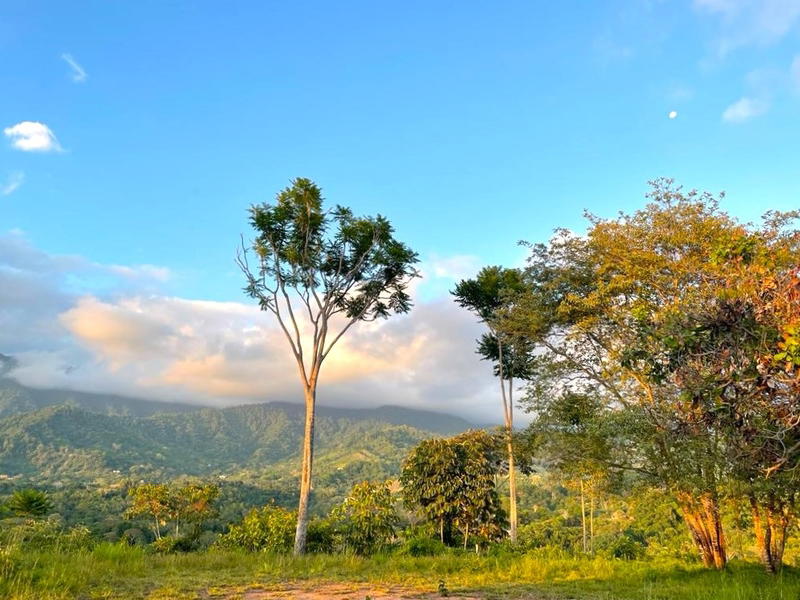 Land at Puerto Cortés