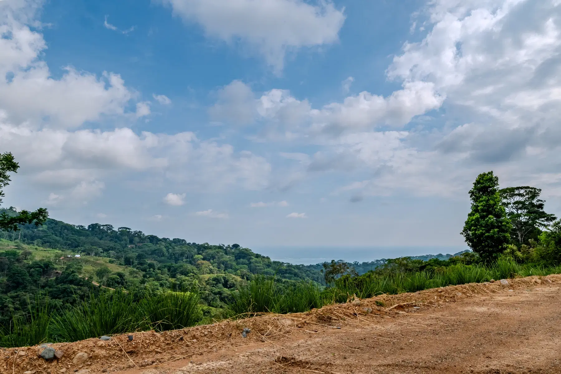 Terreno en Bahía Ballena