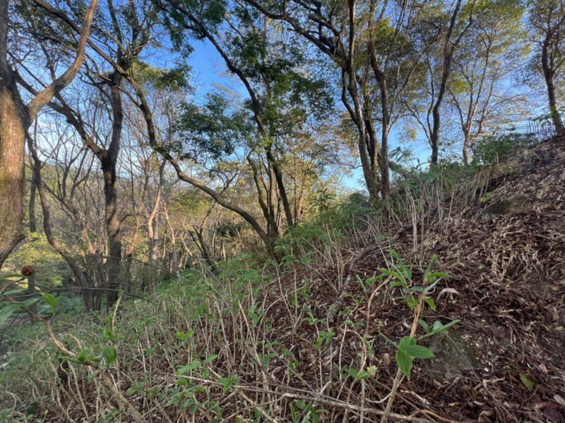 Terreno en Cóbano