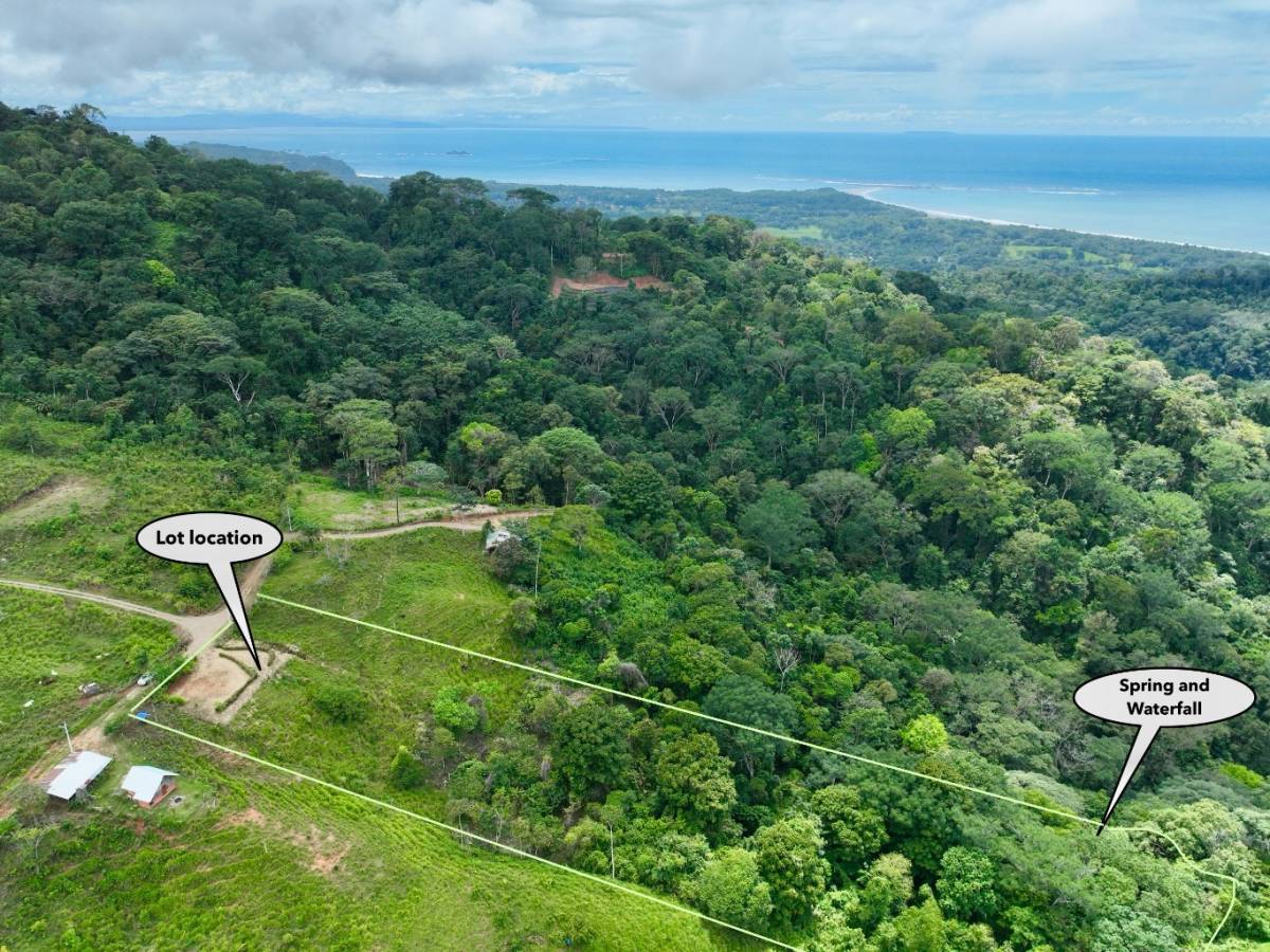 Property at Uvita