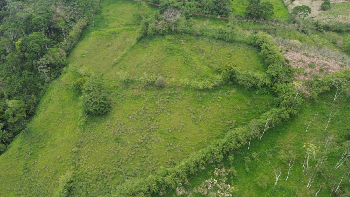 Finca en Turrialba
