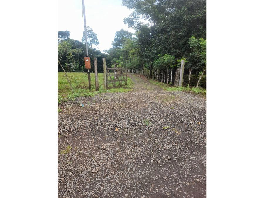 Finca en Upala