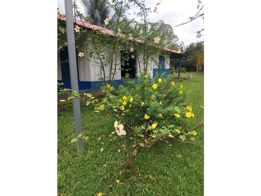 Terreno en Las Horquetas
