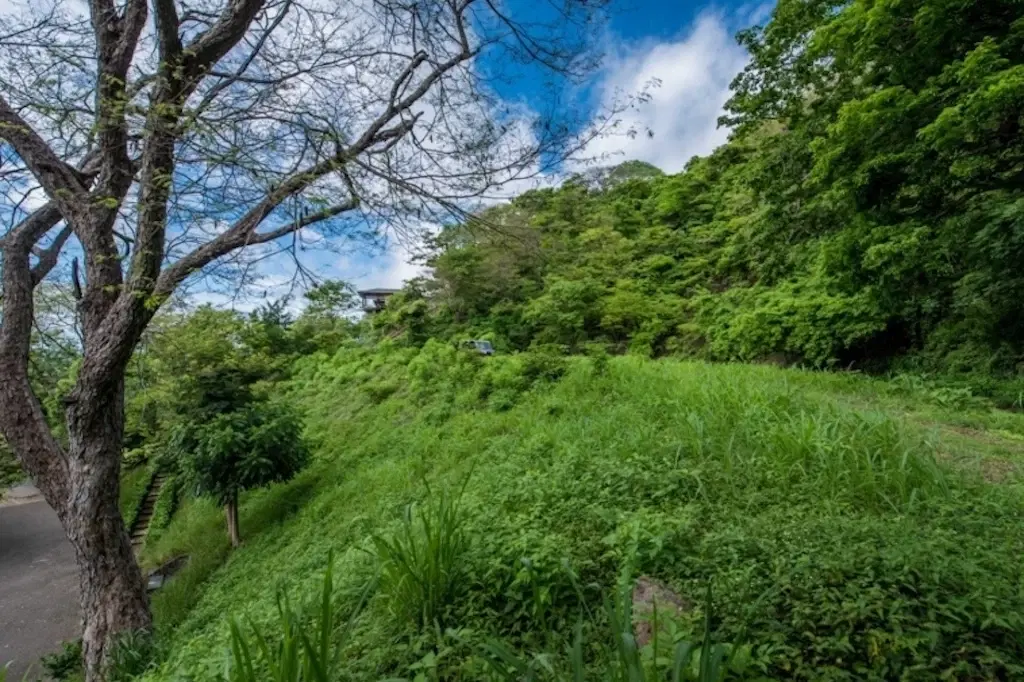 Land at Tamarindo