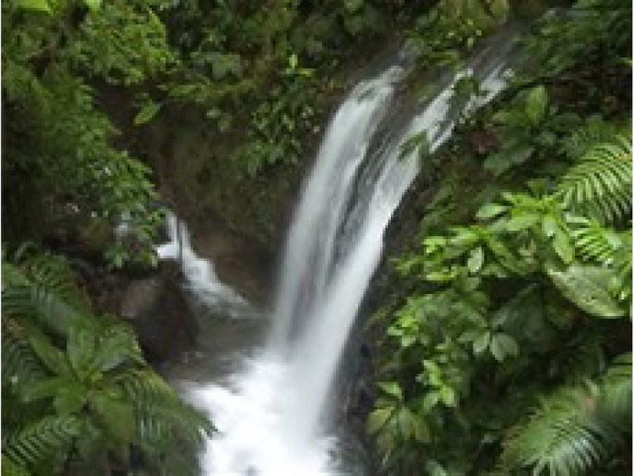 Terreno en Alajuela