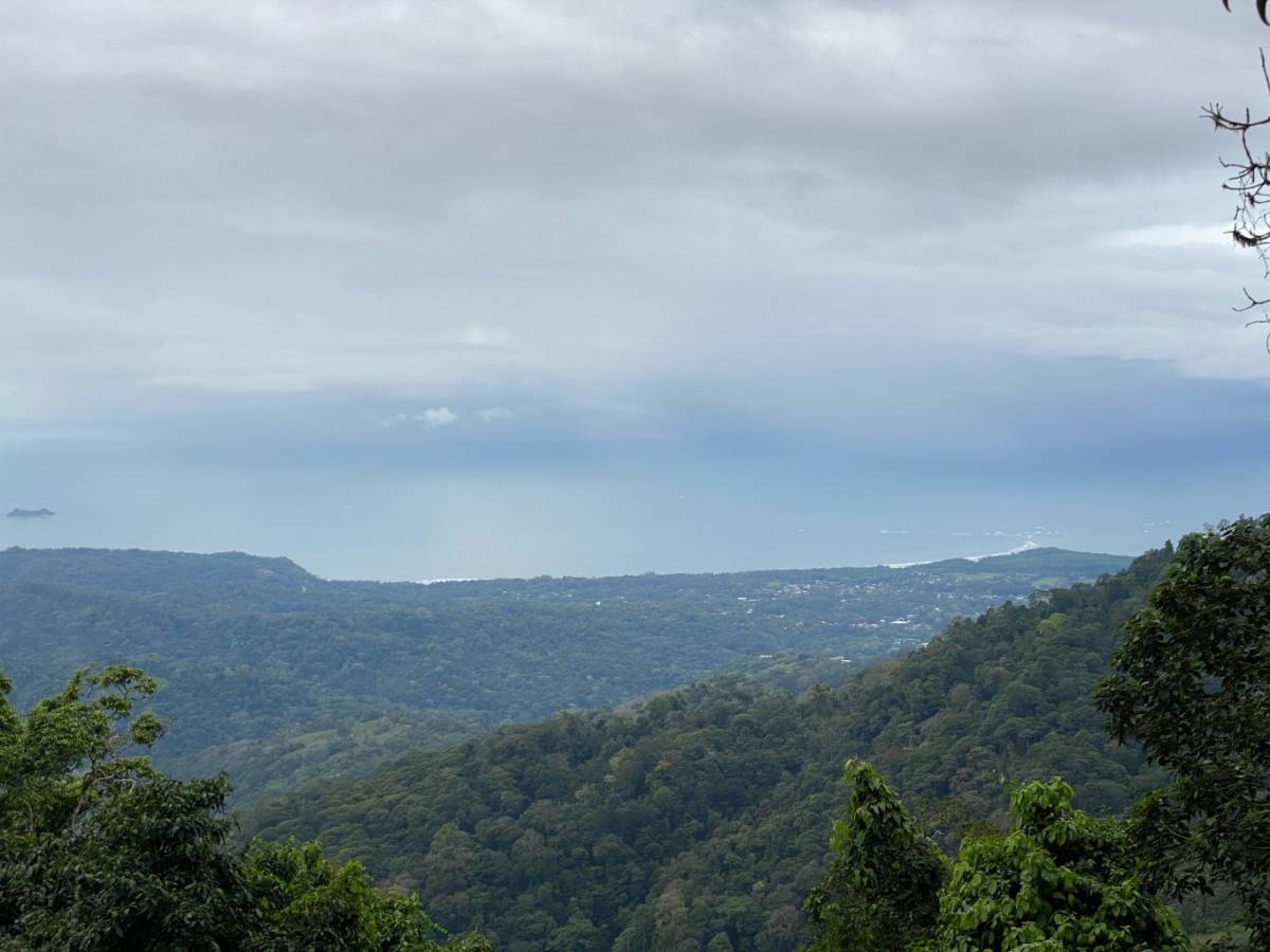 Finca en Ballena
