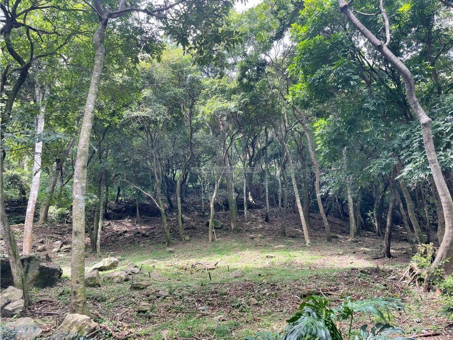 Terreno en Piedades