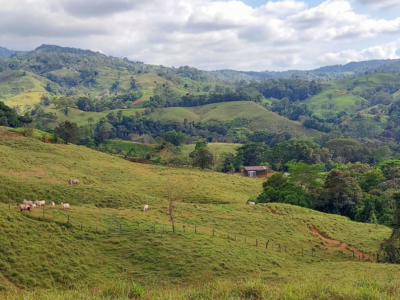 Terreno en San Isidro de El General
