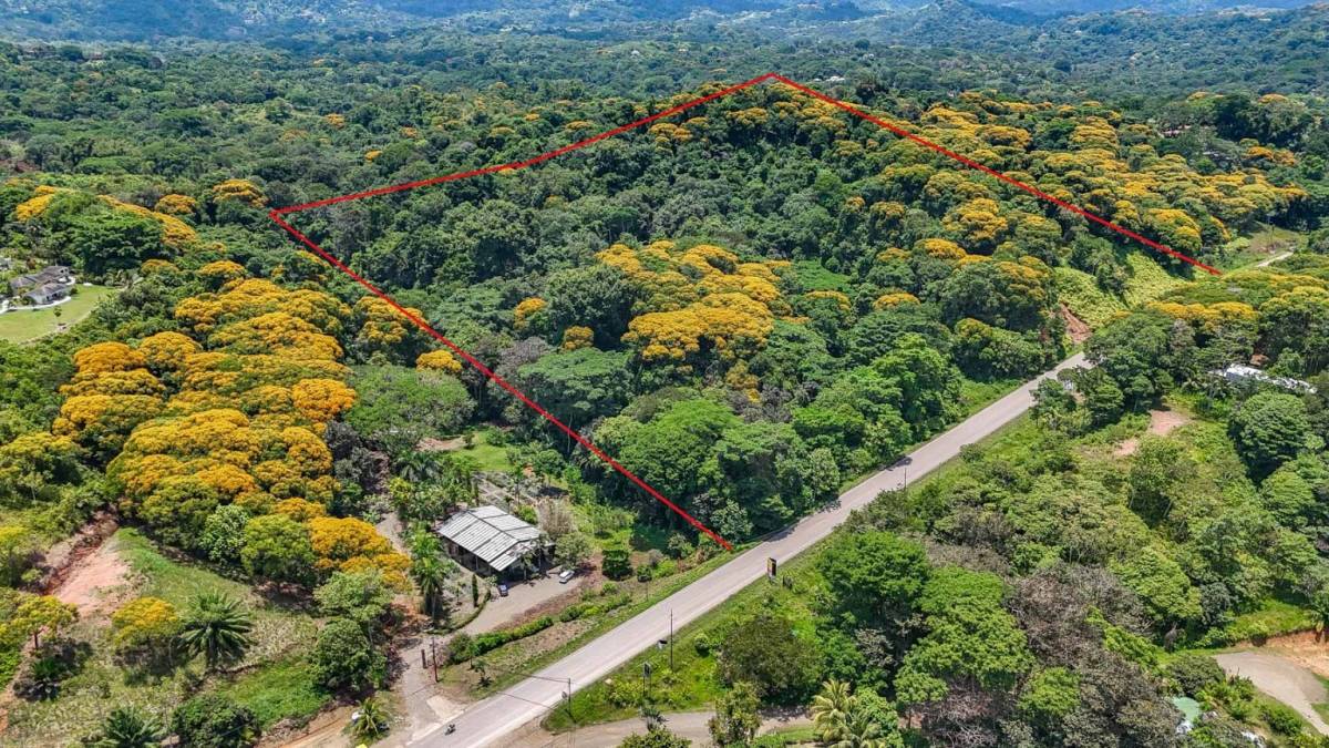 Finca en Ojochal