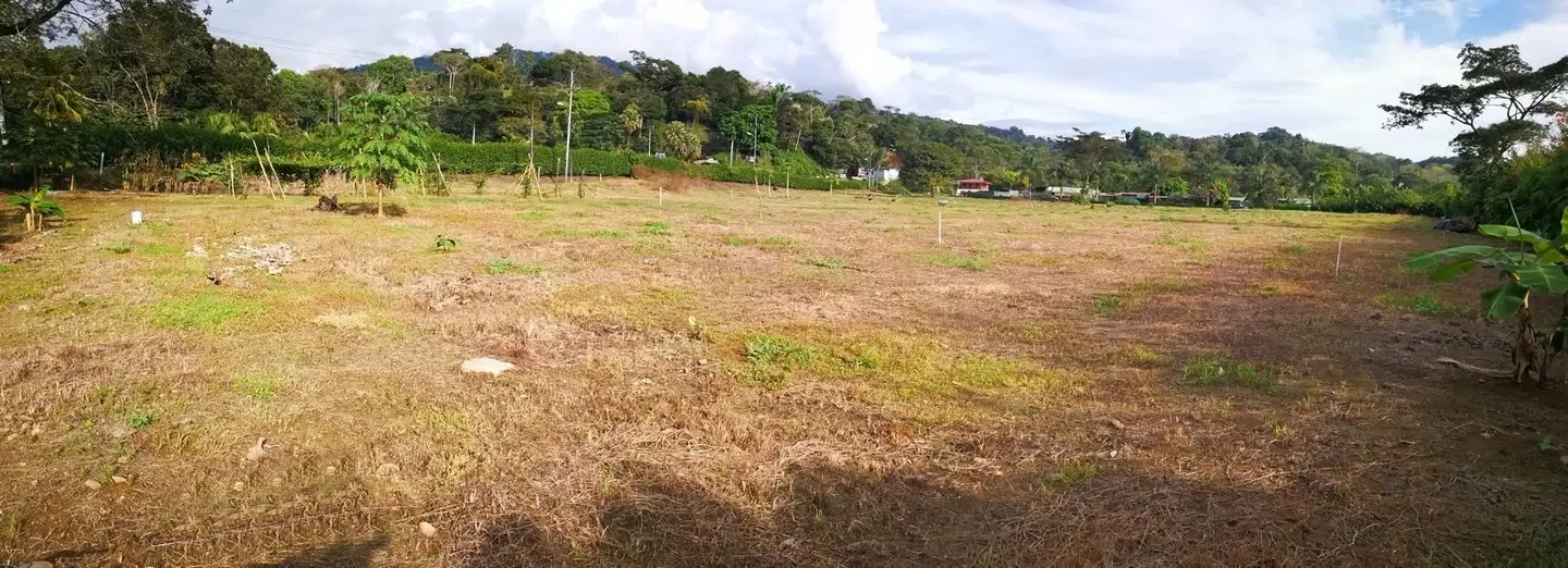 Comercial en Bahía Ballena