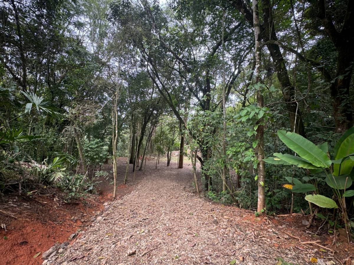 Property at Lagunas