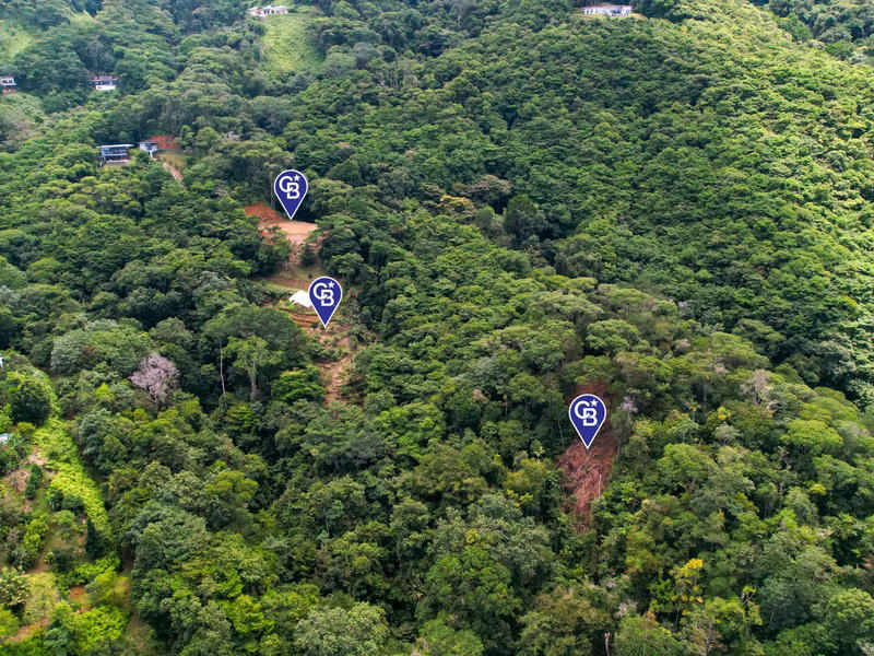 Terreno en Bahía Ballena