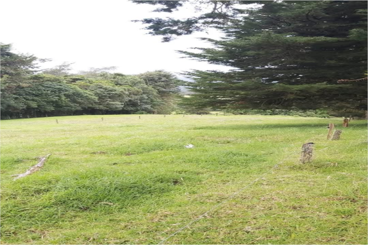 Land at Sabanilla