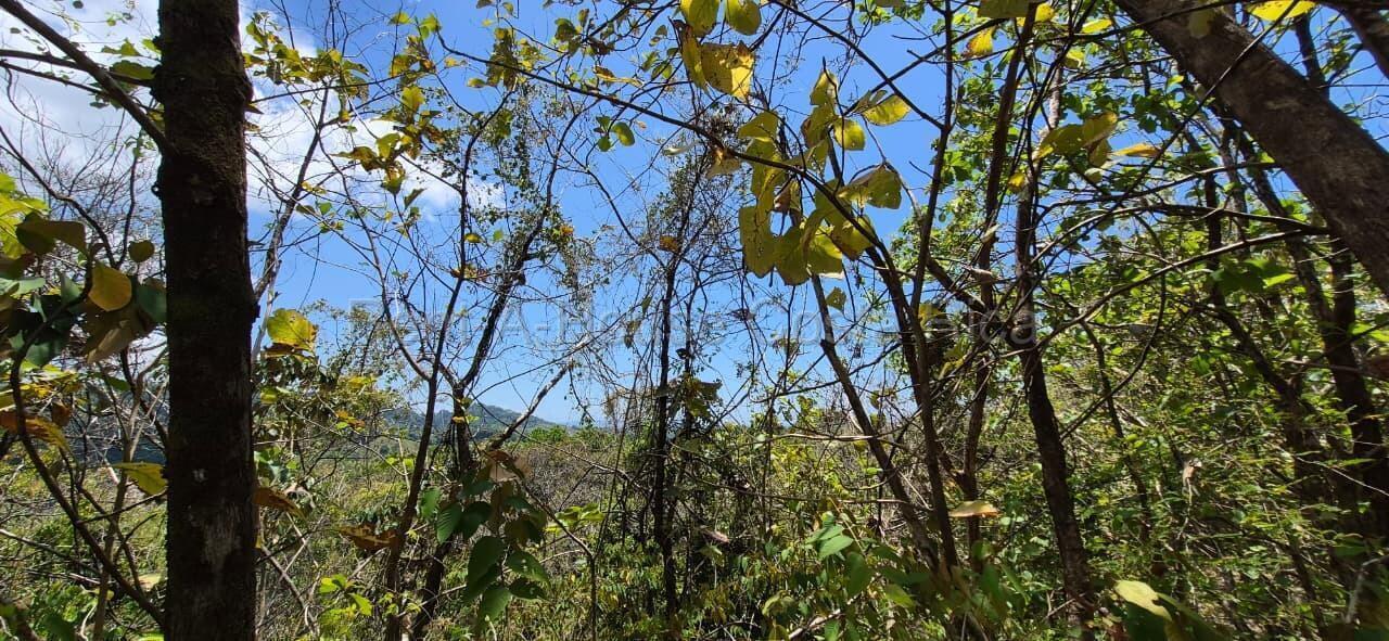 Property at Parrita