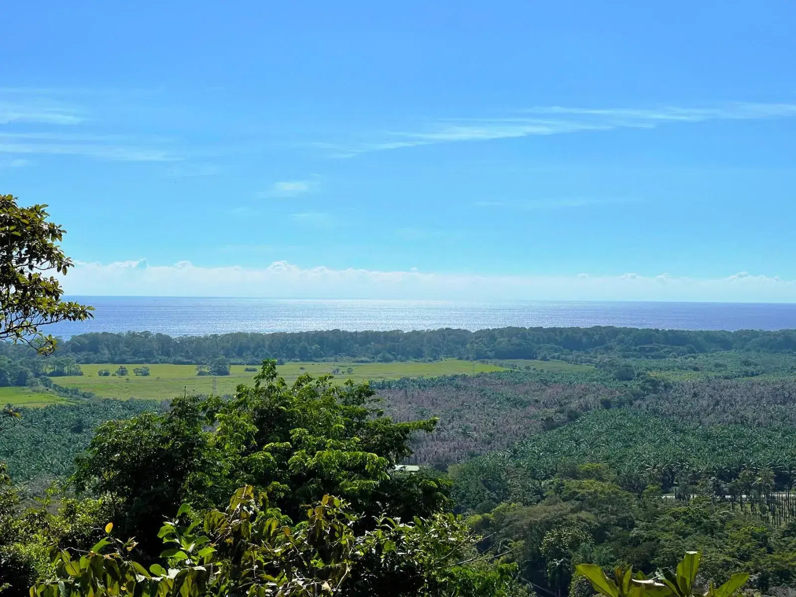 Land at Quepos