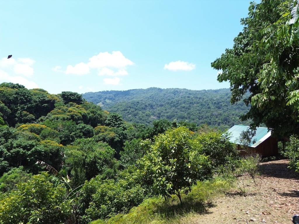 Property at Dominical