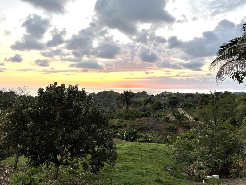 Land at Bahía Ballena