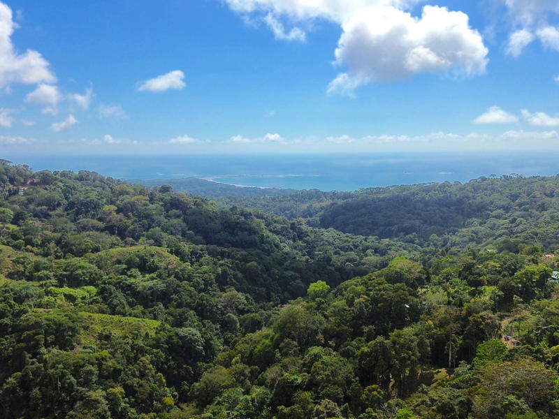 Land at Bahía Ballena