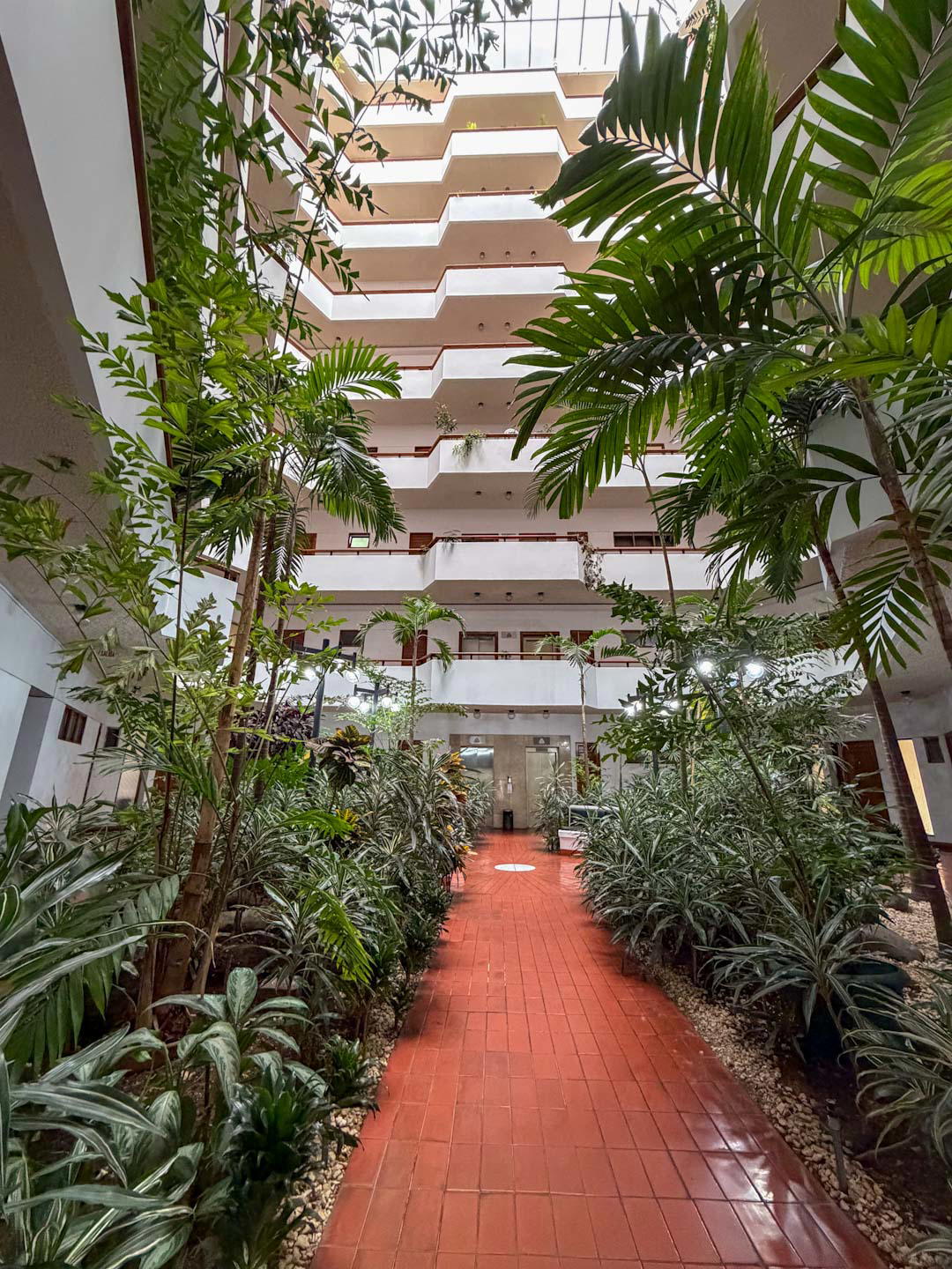 Apartment at San José