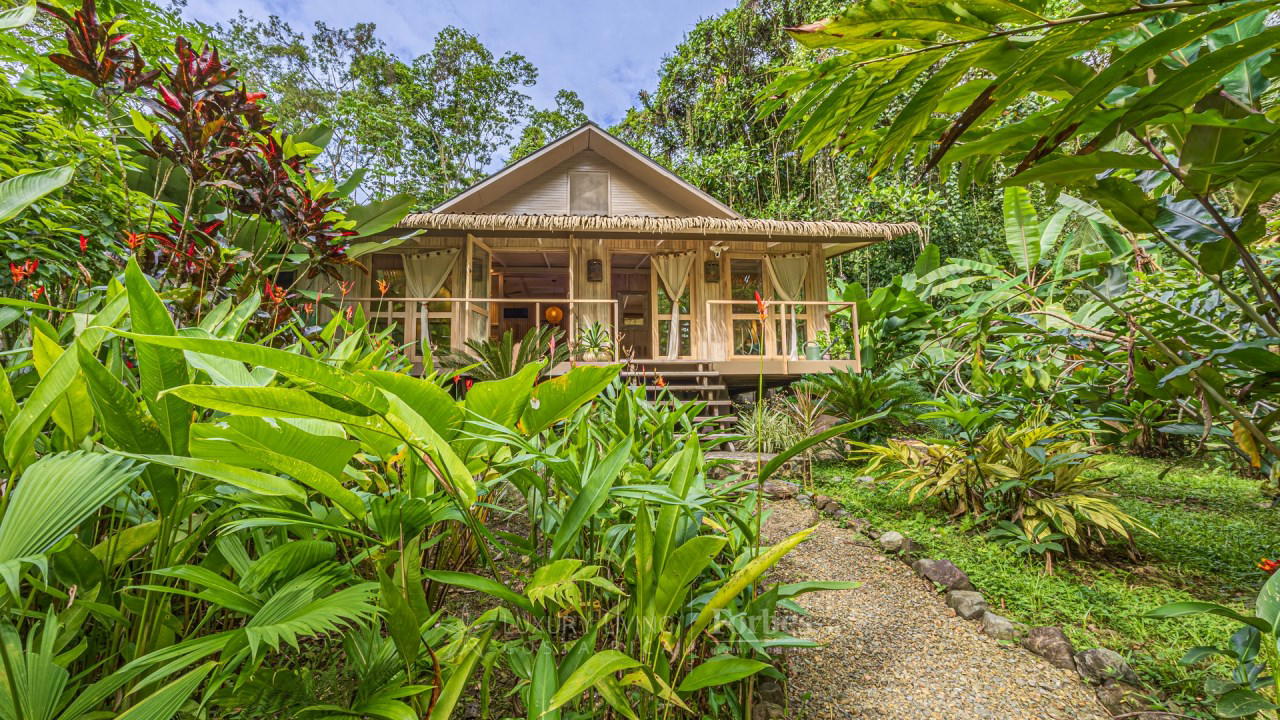Property at Golfito