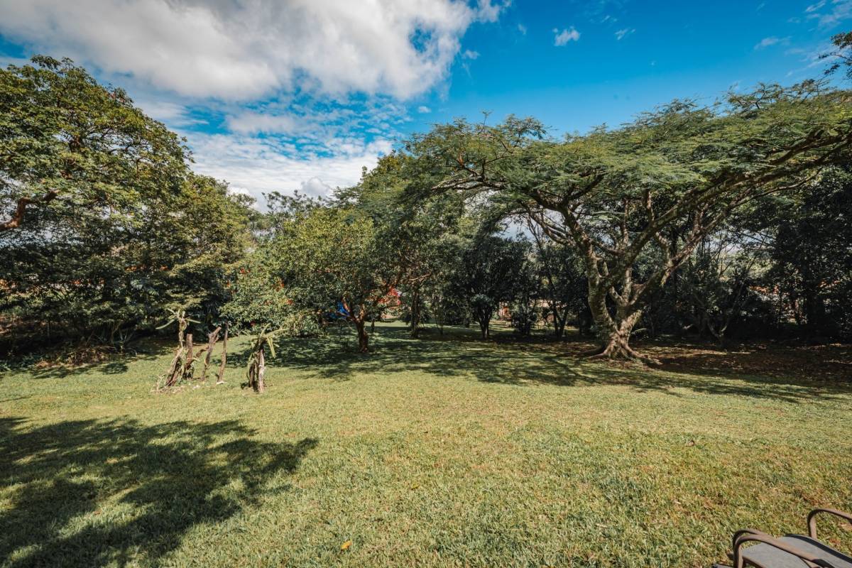 Propiedad en Piedades