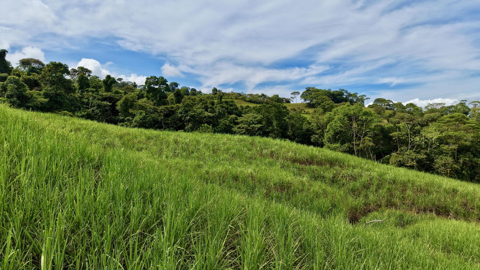 Land at San Isidro del General