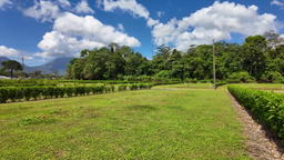 Venta